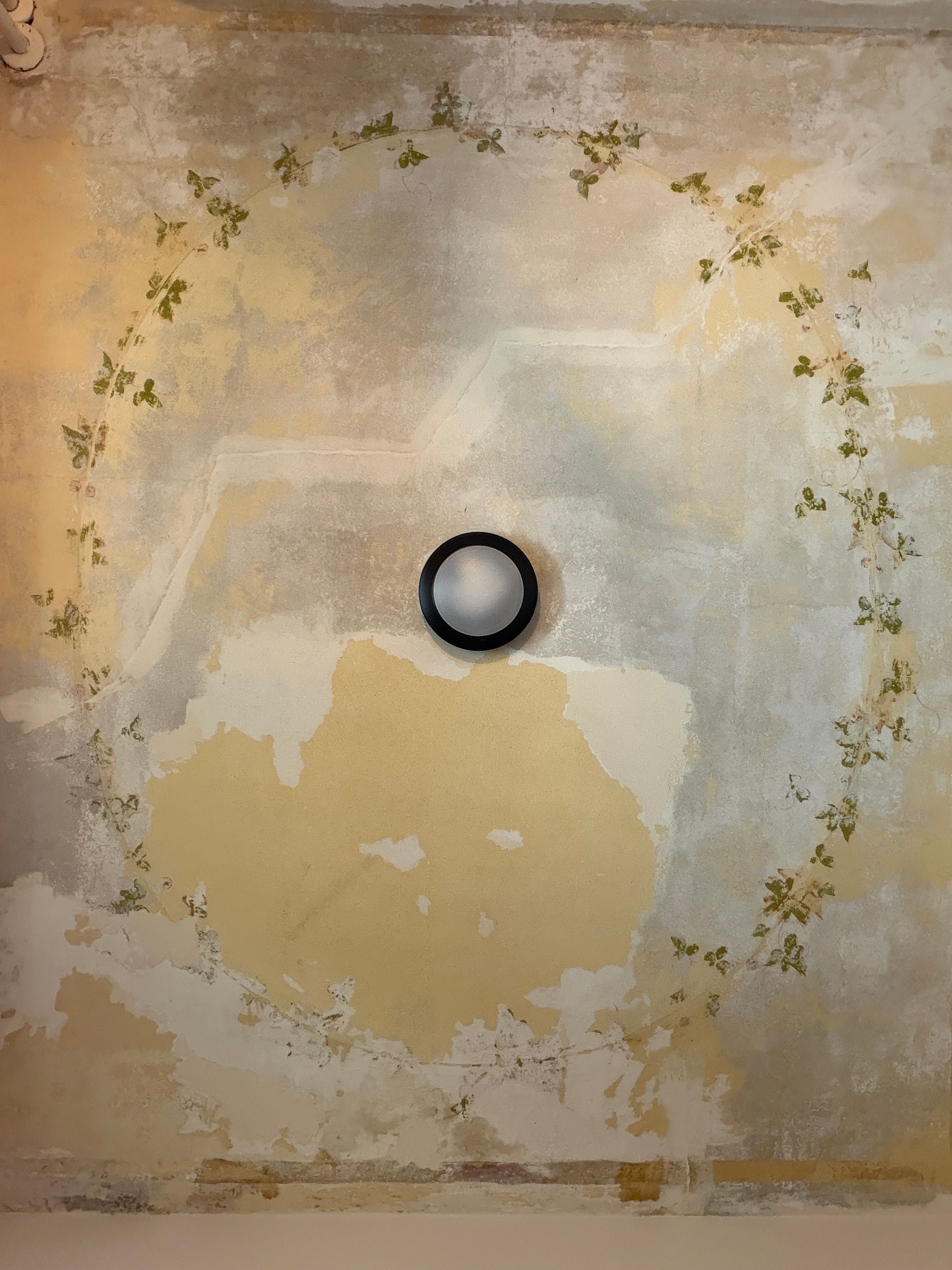 Foyer Ceiling Mural