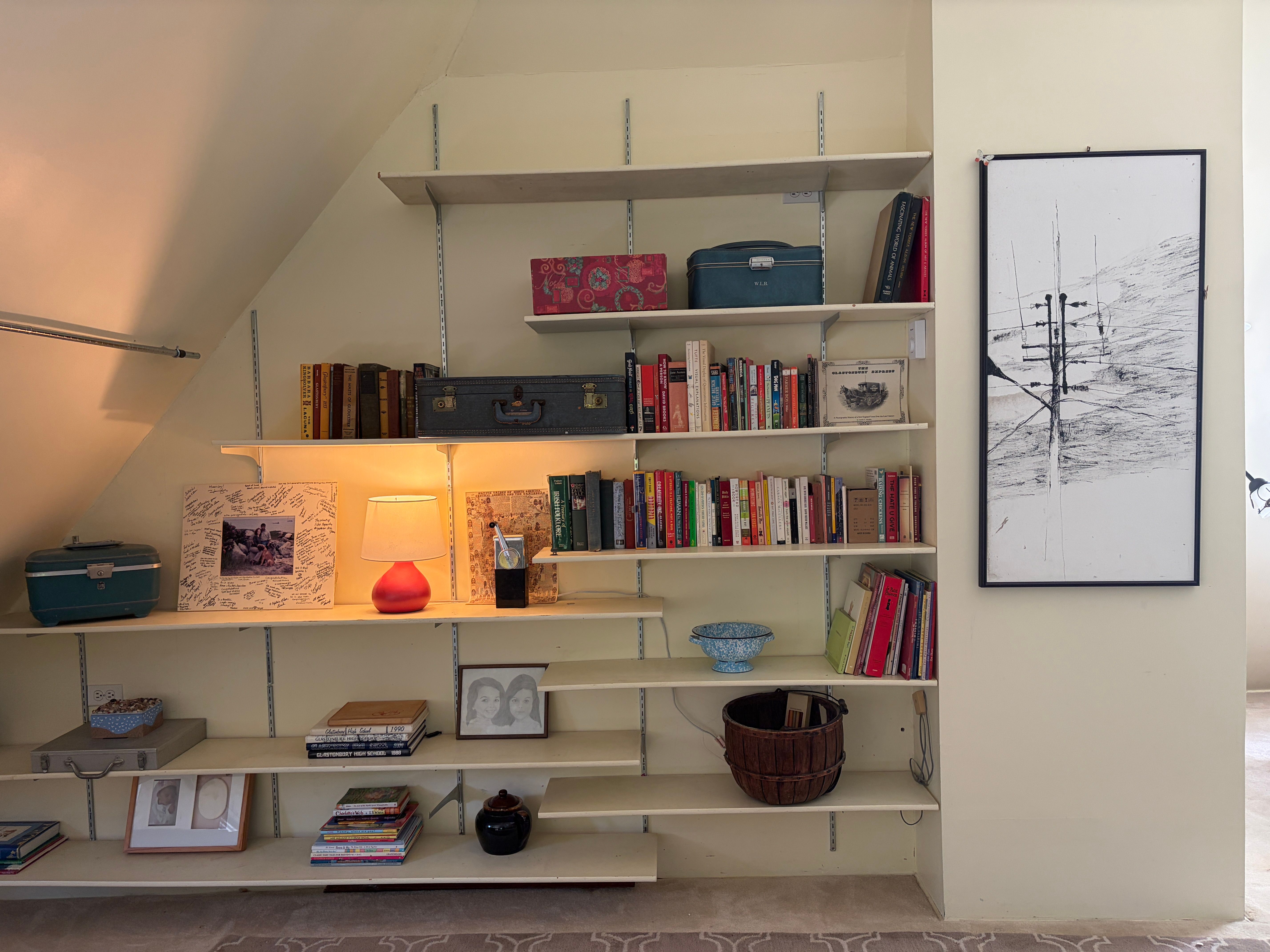Attic Bookshelves